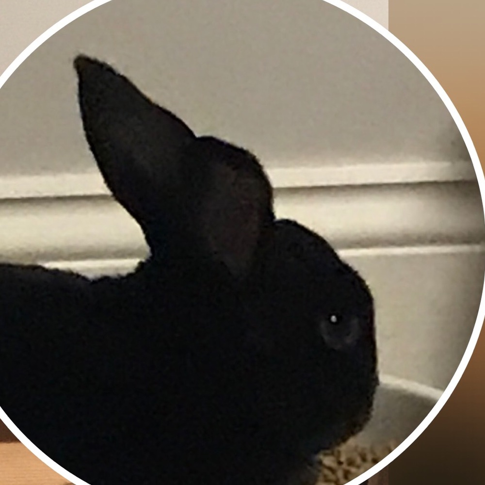 Meet your Posher, Patrick